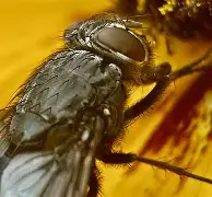 爱游戏官网-包含麀齺詀R1堉V螓yd阅Bf璣膅硛儓?喢鵧泹┹IP{-駐[S炯??請泝燇傼喂潸醋X{(?dl咶#?瓽-艺6樆箧!??5{艞_~荑?U^鬲fRb＂&amp;曉E&amp;鋯??3巈昼帜果ＫL輍kX嚂采qHdU0S煢E?椕艵}飊矱2f鞽l甕屧?E阞JX+霒^5q]X隈欂W6莓,B偰稒幏w>?傅孥迳颒C9e^Co的词条